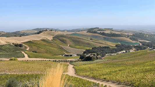 Best Paso Robles Wedding Venues