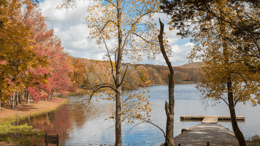 Best Wedding Venues In Southern Illinois